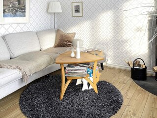 Vakantiehuis Rimforsa  13