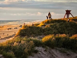 Vakantiehuis Blokhus  7