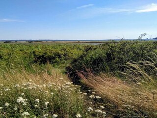 Ferienhaus Rønde  17