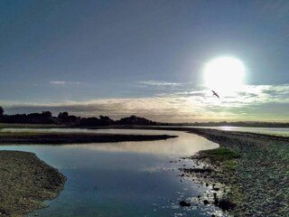 Ferienhaus Rønde  16
