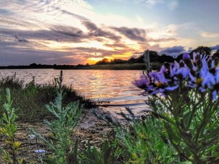 Vakantiehuis Rønde  53