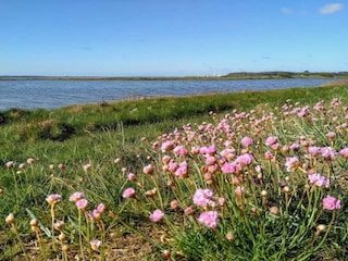 Ferienhaus Rønde  14