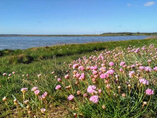 Vakantiehuis Rønde  14
