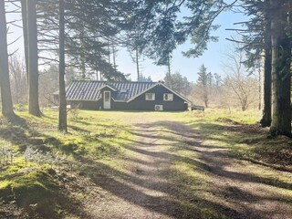 Vakantiehuis Lønstrup Buitenaudio-opname 3