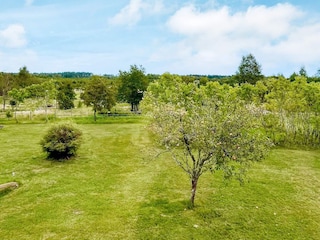 Ferienhaus Målilla Außenaufnahme 5