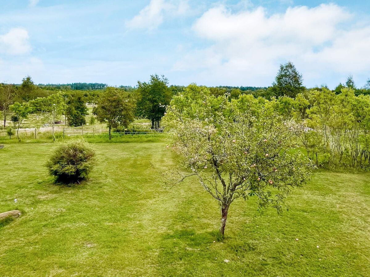 Ferienhaus Målilla Außenaufnahme 10