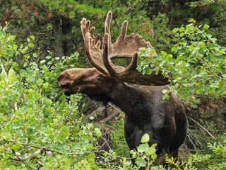 Vakantiehuis Målilla  20