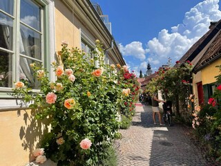 Vakantiehuis Visby  7