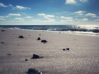 Ferienhaus Vorupør  16