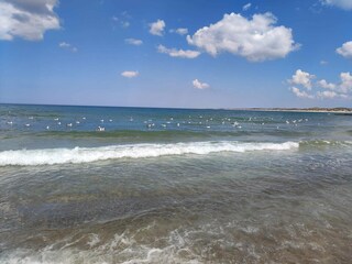 Maison de vacances Vorupør  34