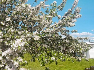 Ferienhaus Göteborg Außenaufnahme 3
