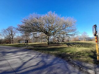 Holiday house Skäret  11