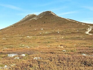 Vakantiehuis Welt  10