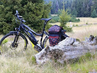 Holiday house Welt  20