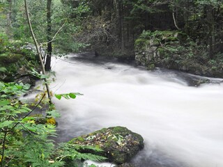 Vakantiehuis Welt  12