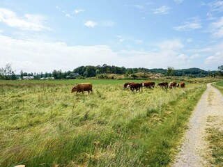 Vakantiehuis Gräsmark Buitenaudio-opname 4