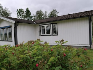Ferienhaus Gräsmark Außenaufnahme 4