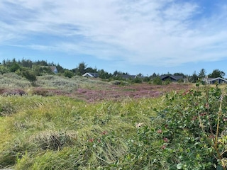 Casa de vacaciones Vorupør Grabación al aire libre 13