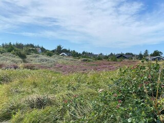 Vakantiehuis Vorupør Buitenaudio-opname 14