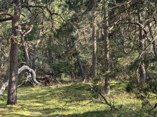Maison de vacances Frederiksværk  17