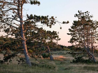 Vakantiehuis Frederiksværk  21