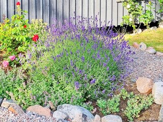 Holiday house Grisslehamn Outdoor Recording 5