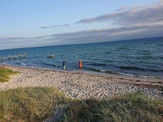 Ferienhaus Kegnæs  38