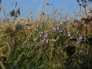 Casa de vacaciones Agger  33