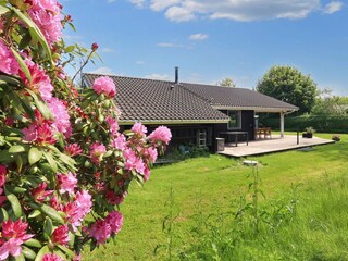 Vakantiehuis Als  20