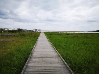 Vakantiehuis Als  5