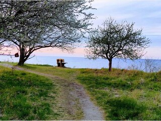 Maison de vacances Grevinge  12