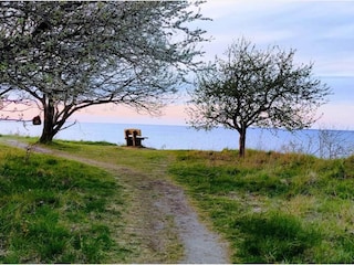 Vakantiehuis Grevinge  13