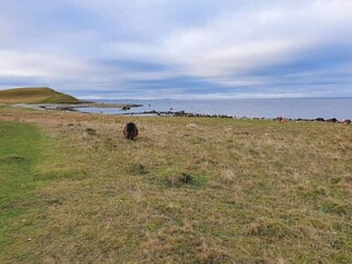 Maison de vacances Grevinge  18