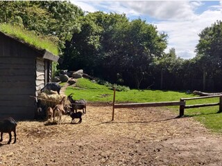 Maison de vacances Grevinge  16