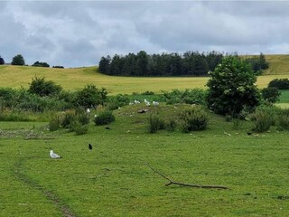 Vakantiehuis Grevinge  18