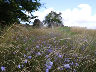 Vakantiehuis Grevinge  32