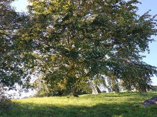 Vakantiehuis Grevinge  34