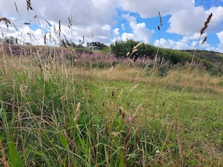 Ferienhaus Humlum  29