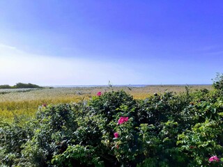 Casa per le vacanze Stauning  29