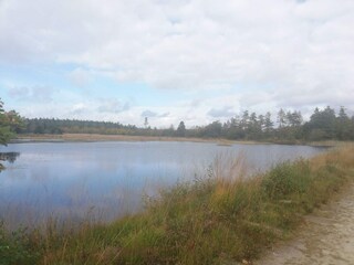 Vakantiehuis Stauning  16