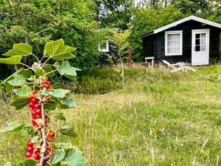 Casa de vacaciones Vesløs Grabación al aire libre 3