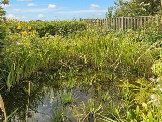 Casa per le vacanze Søndervig  44