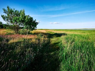 Vakantiehuis Hals  27