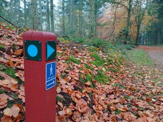 Vakantiehuis Fjerritslev  13