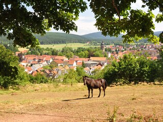 Casa per le vacanze Tambach-Dietharz Ambiente 9