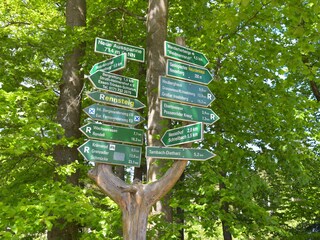 Casa per le vacanze Tambach-Dietharz Ambiente 12