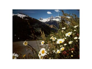 Blick auf die Golm und Zimba