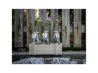 Alpasella Ferienwohnungen