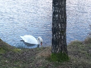 Casa per le vacanze Aspenstedt Registrazione all'aperto 7