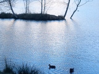 Casa per le vacanze Aspenstedt Registrazione all'aperto 9